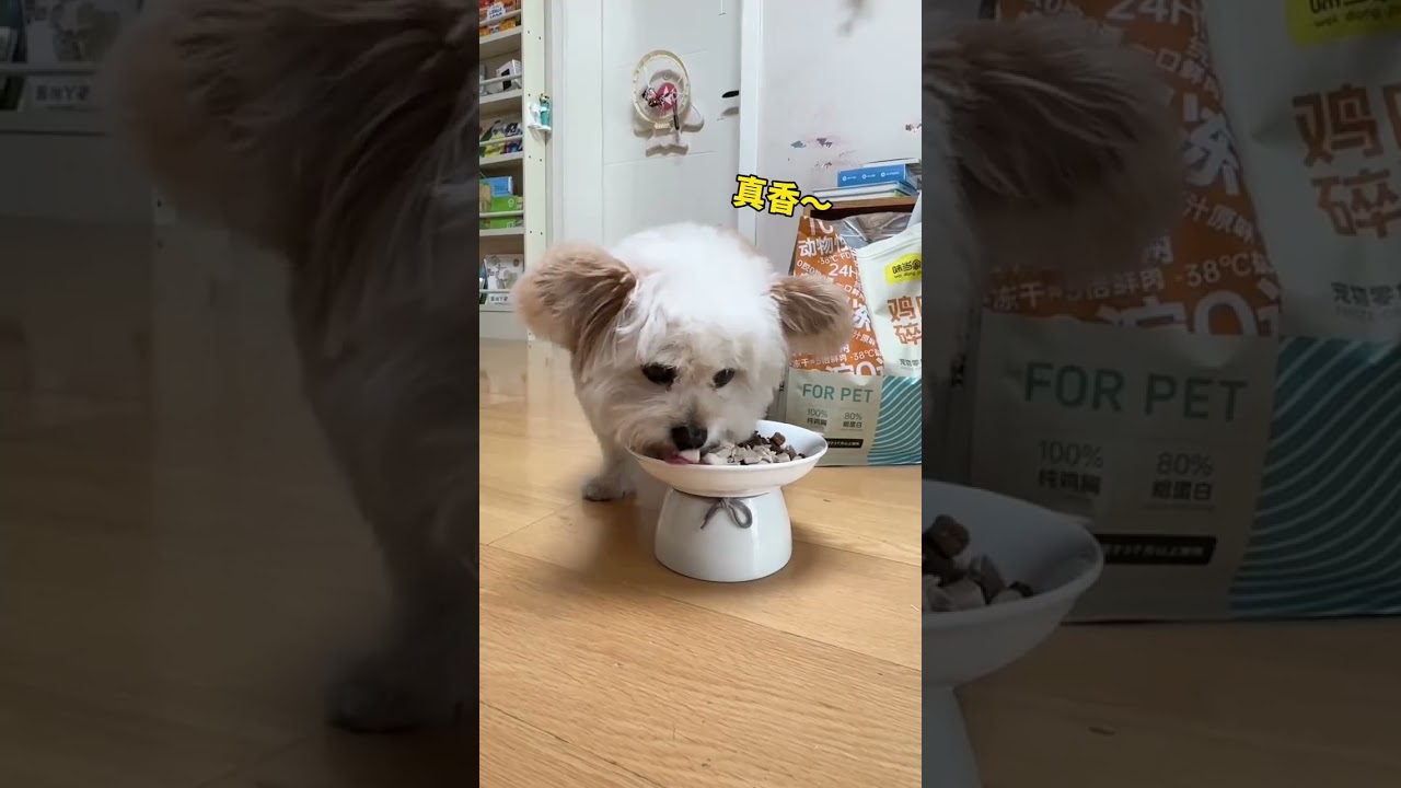 Homeowners who know how to manage their lives take a look