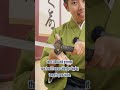 What Are 4 Purposes Of Katana Hand Guards Shorts 