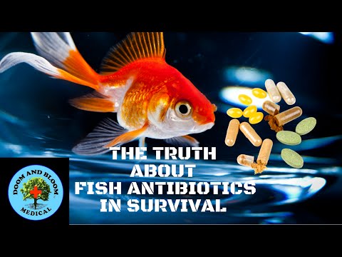the-truth-about-fish-antibiotics-in-survival
