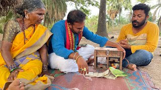 గంగవ్వ చిలుక పంచాంగం | My Village Show Comedy | Gangavva | Raju | RRR cards