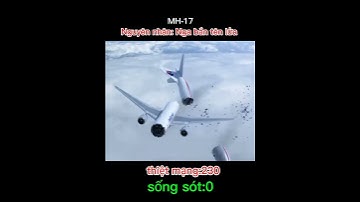 Những tai nạn máy bay thảm khốc nhất lịch sử #maybay#edit