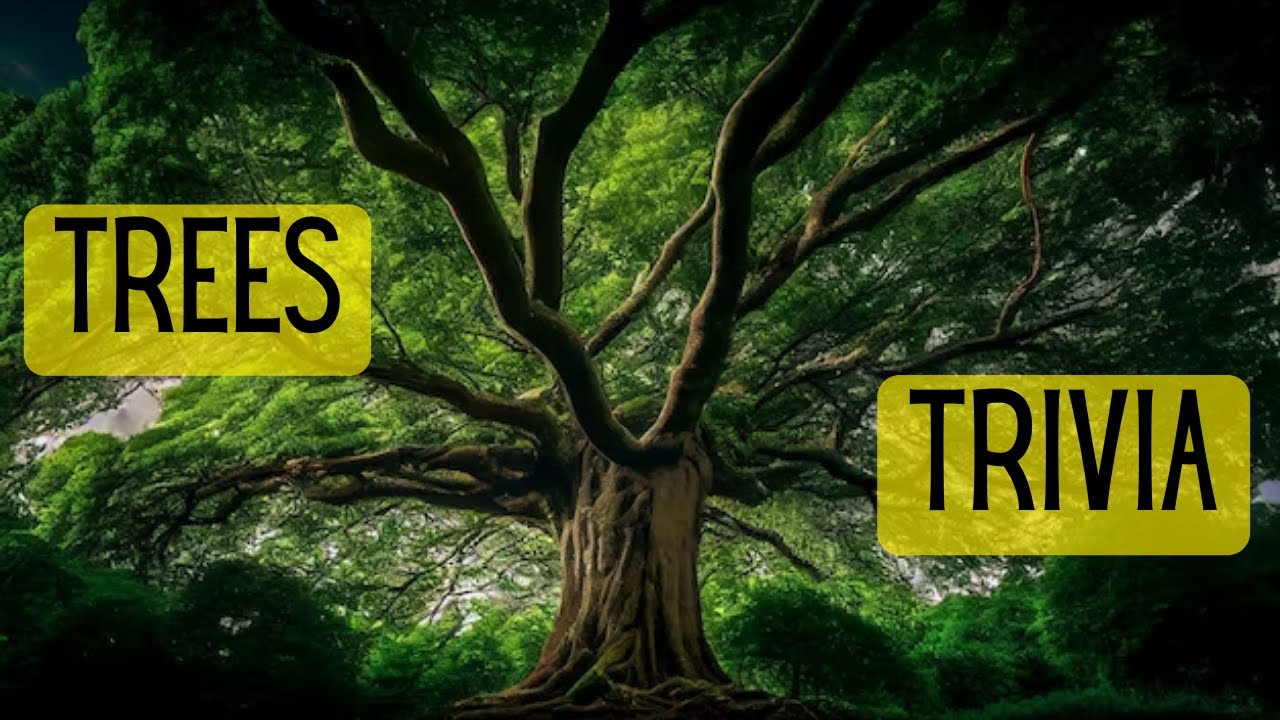 Trivia on Trees! Lay in The Shade and Try These Tree Questions and
