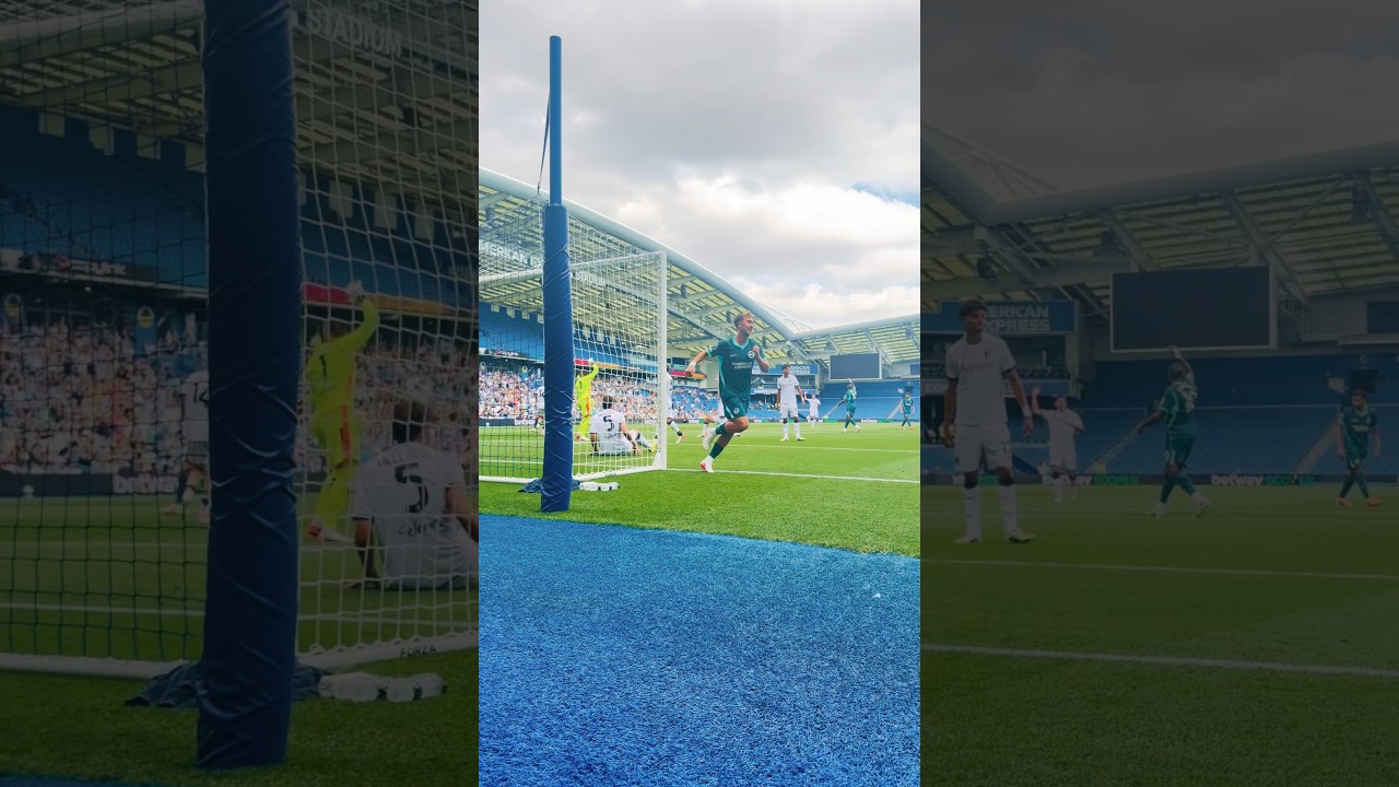 Great work by Georgi, finished by Hinsh! 🔥🎯 #BHAFC #PremierLeague #PL