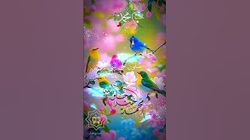 تلاوة خاشعة عطرة مباركة جميلة عذبة للشيخ علي جابر رحمه الله ماتيسر من سورة الأحزاب