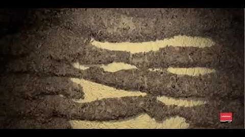 URETEK for Concrete Lifting Foundation Repair and Soil Stabilizationdescargaryoutube com