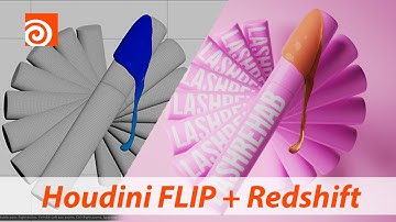 Houdini Flip tutorial + Redshift + HIP file : Houdini dailies 1