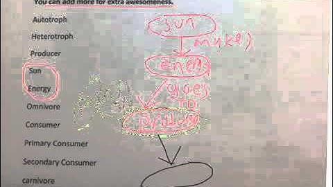 Ecology concept map  Help Video