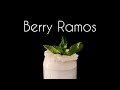I’m going insane making Ramos gin fizzes