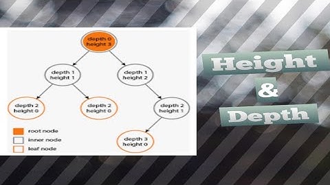 Height and Depth of the binary tree.