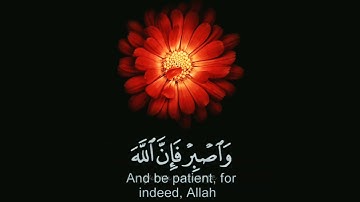 القران الكريم | سورة هود | القارئ أنس محمد | تلاوة خاشعة جميلة جدا 😌❤ | حالات واتس اب