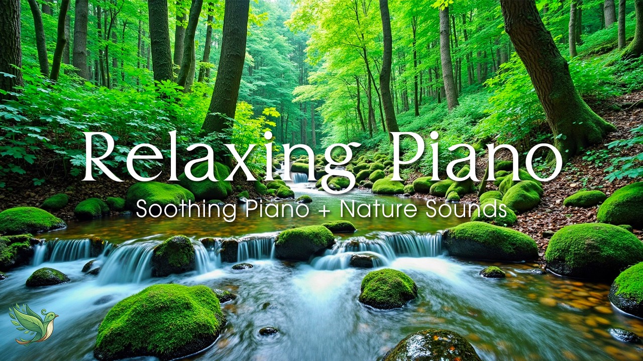 Лесная атмосфера и мягкое фортепиано: расслабляющая музыка и звуки природы.