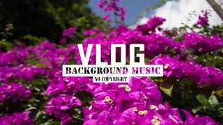 INOSSI - Imaginary Love (Vlog Background Music) [Free To Use Music]