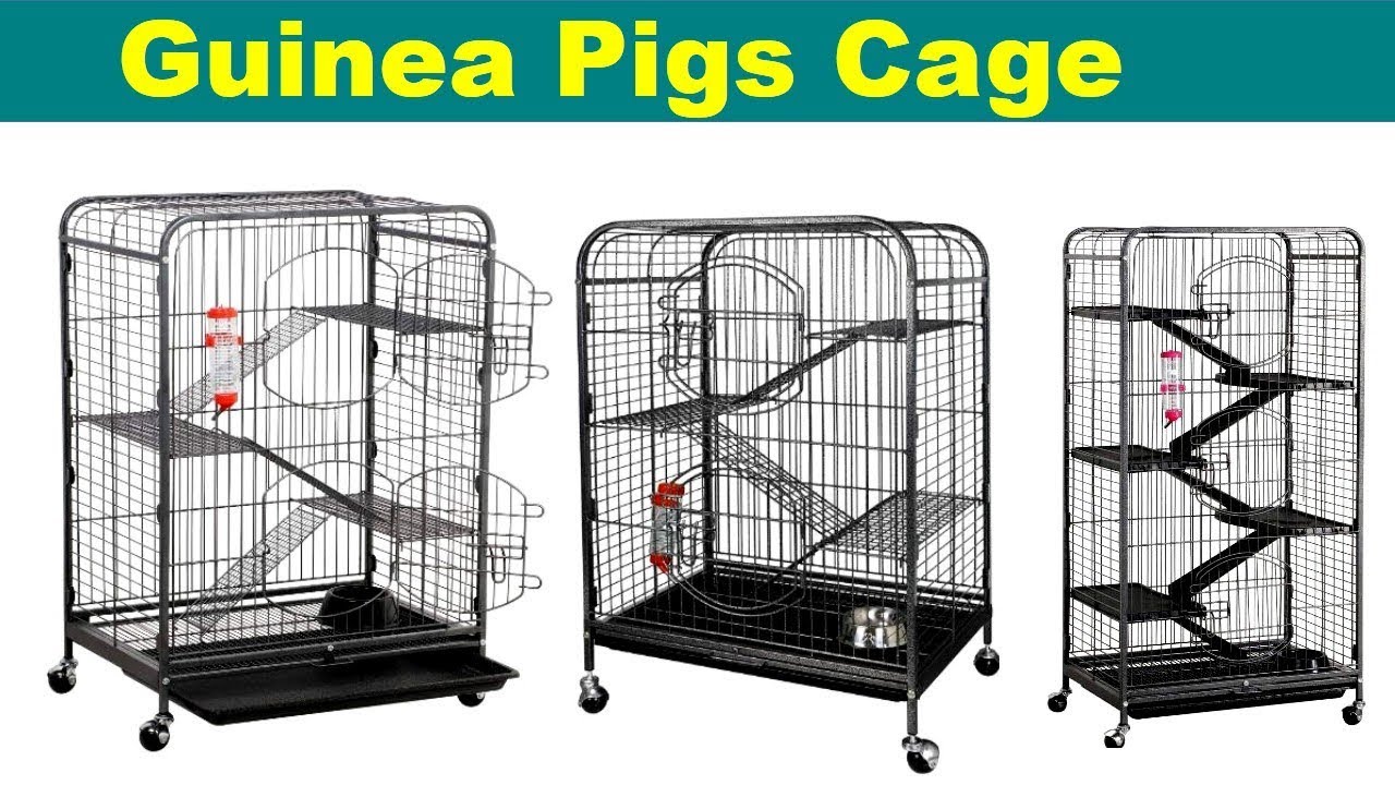 extra large indoor guinea pig cage
