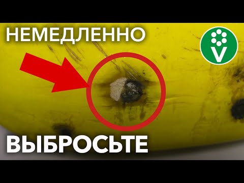 Если увидите ТАКУЮ ПЛЕСЕНЬ на овощах и фруктах, немедленно выбросите их!