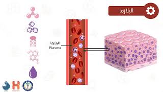 مقدمة عن النسيج الدموي || Introduction to blood tissue