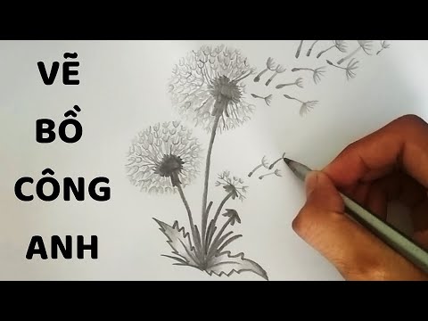 Hướng dẫn Cách vẽ hoa bồ công anh đơn giản Cho ngày mới thêm rực rỡ