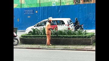 Kho Tư liệu Xây dựng - Cách cắt tỉa cây xanh trồng dọc đường phố