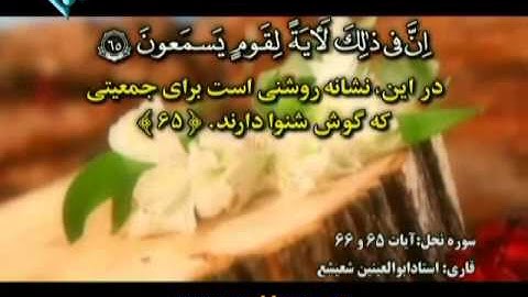 سورة النحل ========= الشيخ  ابوالعينين شعيشع