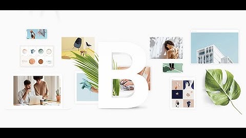 Download Wordpress Bridge 24.8 PREMIUM Theme For FREE Link in Description