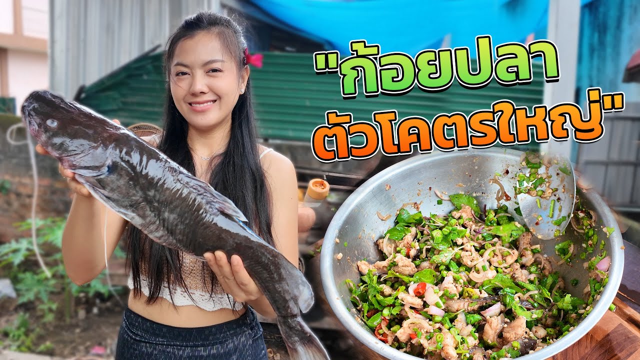 🇱🇦ปลานำ้โขงลาว มากินก้อยปลาเคิงนำน้องเด้อ