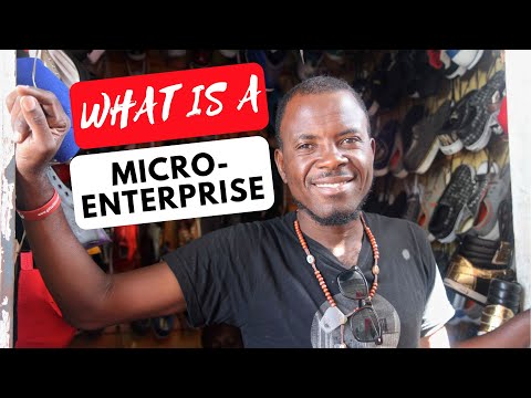Video: Hoe werkt een micro-onderneming?