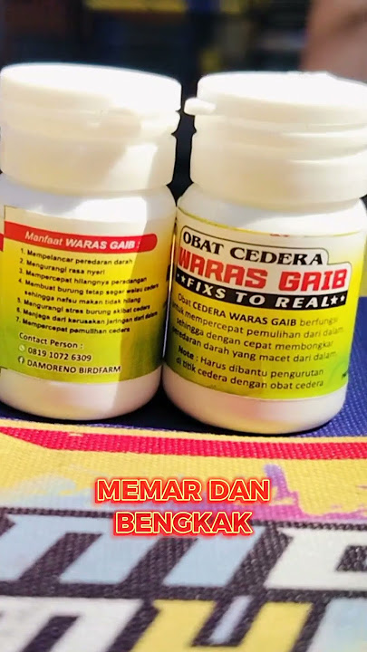 PULIH CEPAT, WARAS GHOIB FIXS TO REAL #wbpmedia #wartabumipantura  #wbptv #merpati #warasghoib