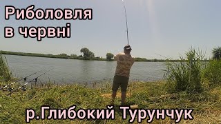 картинка: Рыбалка на Глубоком Турунчуке.Карась на макушатник и убийцу карася .#рыбалка #карась#турунчук