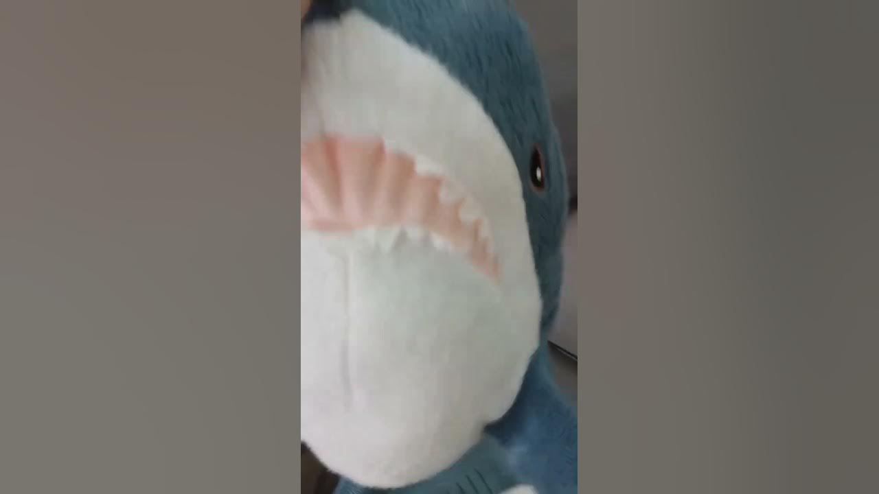 Bhåhaj Shark dancing - YouTube