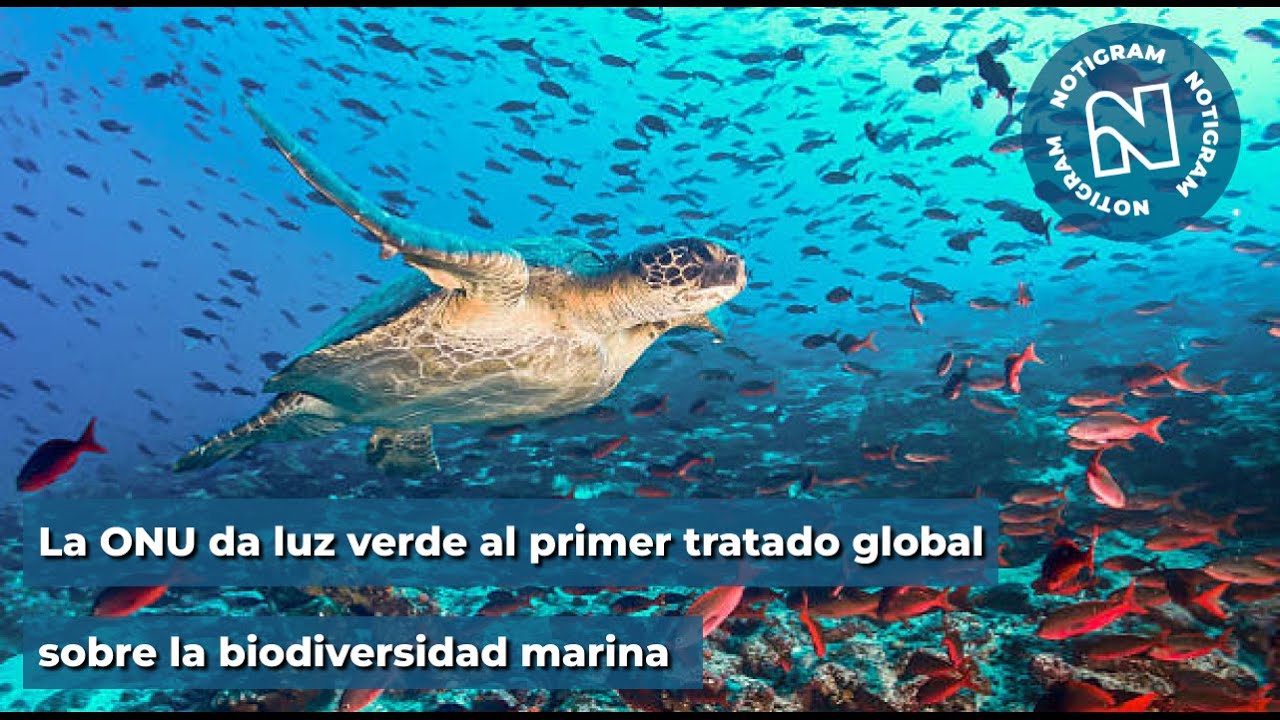 La ONU da luz verde al primer tratado global sobre la biodiversidad ...