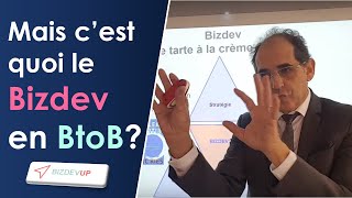Mais Cest Quoi Le Bizdev En Btob ?