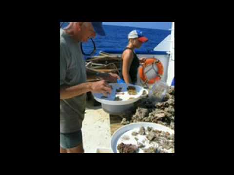 Pt.2. Gulf of Mexico Biodiversity - Darryl Felder ...