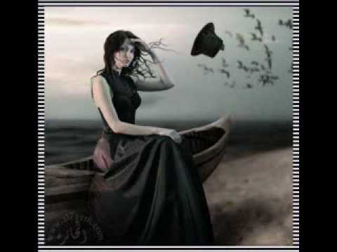 أحمد فوزى ا ضعفى   3