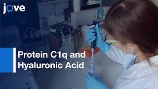 Protein C1q and Hyaluronic Acid Interplay in Promoting Cell Adhesion | Protocol Preview