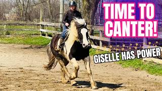 BIG Plow Horse Attempting The Canter! This Got Interesting…
Get ready for a real, unfiltered moment with my big plow horse Giselle. Today we attempted something new, cantering under saddle. She is powerful, willing, and still learning how to balance all that size and energy, so I truly didn’t know what to expect going into this ride. Some moments felt amazing… others were a little chaotic 😅 but that’s all part of the journey. Building trust, confidence, and communication with a horse like this takes time and this ride was a big step forward for both of us. Let me know in the comments, have you ever worked with a draft or plow horse transitioning into riding work?
GISELLES PLAYLIST: https://www.youtube.com/watch?v=lryx6i8Yf2U&list=PLV8PJEP2gwy-a9J3zAoa7mcv41Z1pZQae&index=3
HORSE THEMED STORE: https://thespiritedhorseboutique.com/
FSE 2026 RETREATS: https://freespiritfarm.info/retreats
FSE 2026 CLINICS & EXPERIENCES: https://freespiritfarm.info/clinics
MORE AUCTION VIDEOS:
https://youtube.com/playlist?list=PLV8PJEP2gwy_jGCMaPdCu49h_dQGC35wj
EMAIL: freespiritfarm.stable@gmail.com
Website: https://freespiritfarm.info/
TikTok: https://vm.tiktok.com/ZMRED8joM/
Free Spirit Equestrian Facebook: https://www.facebook.com/freespiritfarm.info?mibextid=JRoKGi
The Spirited Horse Boutique Facebook: https://www.facebook.com/thespiritedhorseboutique?mibextid=LQQJ4d BIG Plow Horse Attempting The Canter! This Got Interesting…
