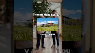 Nový Zéland je místo, kde se přirozeně propojuje kultura, komunita a každodenní život 🌏💛