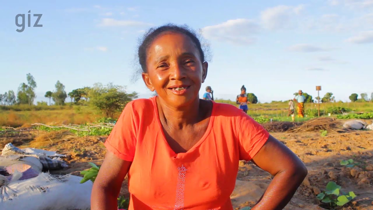 Culture maraichaire avec utilisation du compost