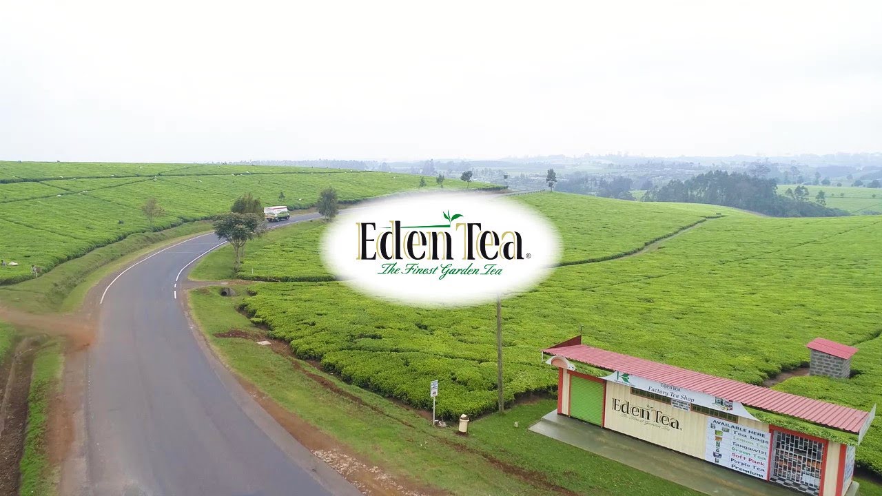 Karirana Estates. The home of Eden Tea. YouTube