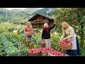 Life in the Countryside Garden - This is a Great Way to Grow and Harvest Fruits - Farm fresh
