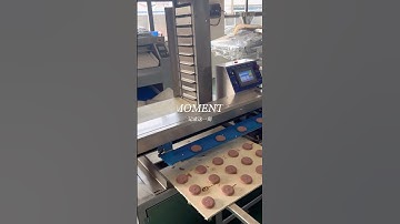 Automatic chocolate chips forming production line#encrusting machine #automatic panning machine