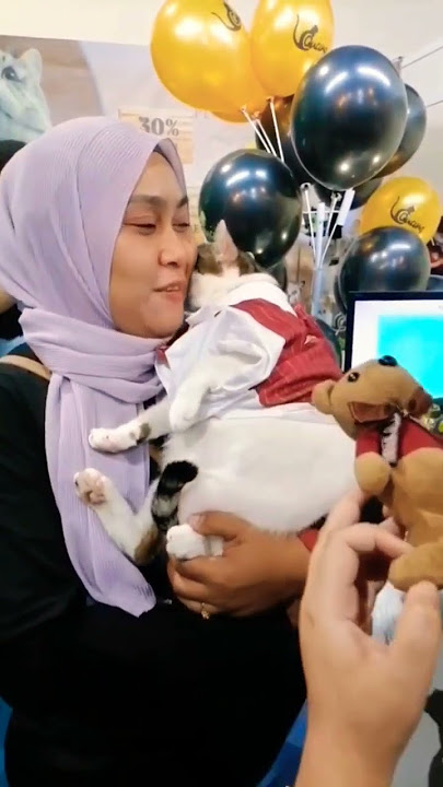 kucing yoyo yang viral#kucinglucu #shorts