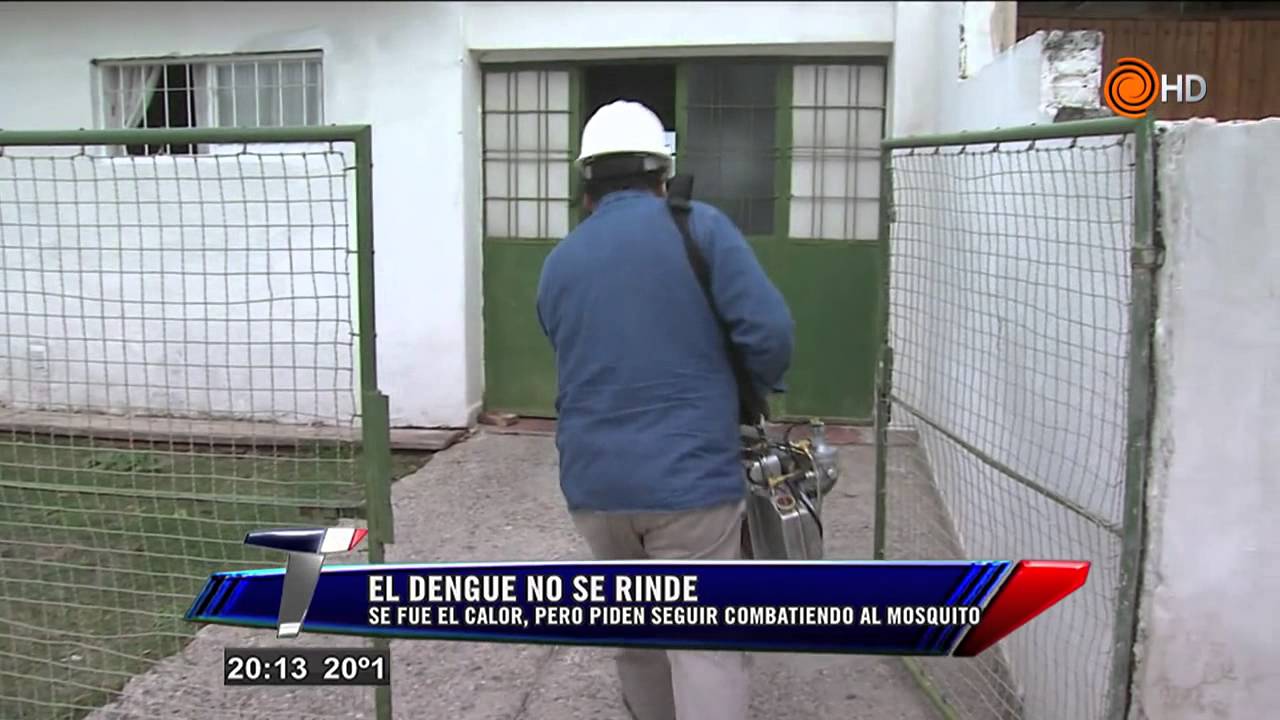 El Dengue no se rinde. Se fue el calor pero los mosquitos no.Telenoche - YouTube