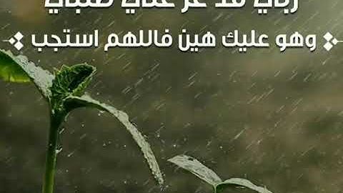 أولئك يسرعون في الخيرات وهم لها سابقون /تلاوة جميلة