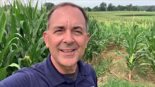 Corn Sweat  - Out and about with Jeff Lyons