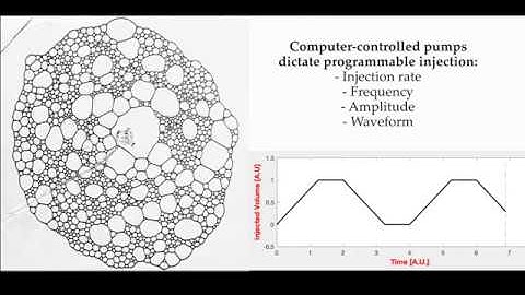 Mechanics of Active Foam: Local Energy Injection in an Addressable 2D Foam