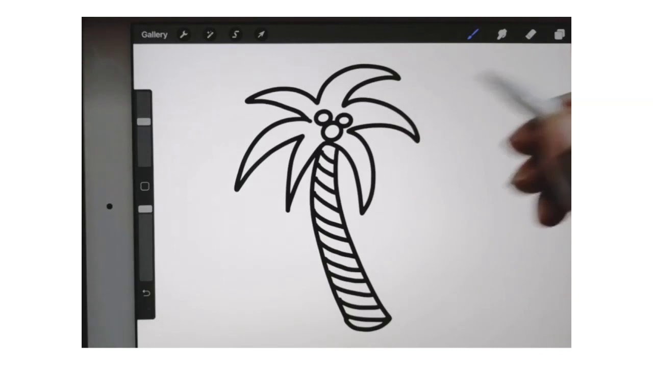 How to Draw a Palm Tree - Beginner Procreate Tutorial - YouTube
