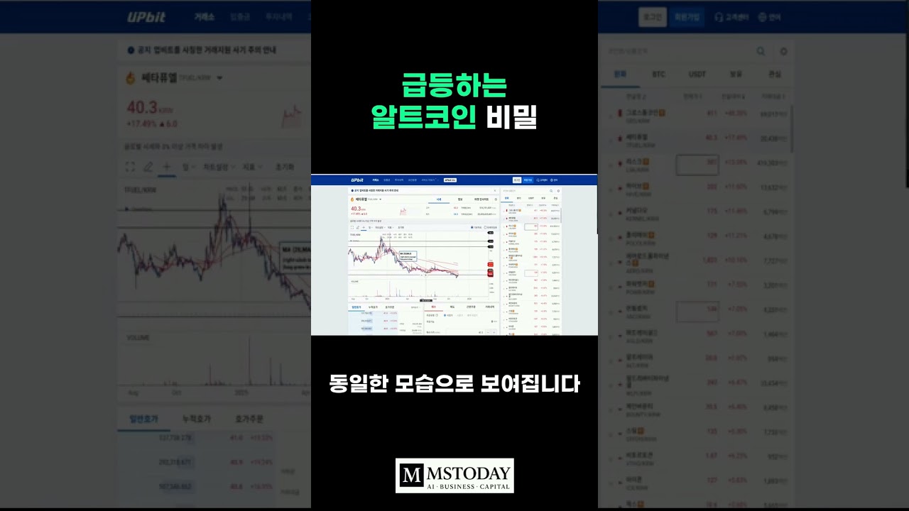 머니쇼츠-영상] 급등하는 알트코인 비밀 - MS TODAY