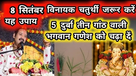 8 नवंबर विनायक चतुर्थी जरूर करें यह उपाय 5 दूर्वा 3 घाट वाली गणेश जी को चढ़ा दें दूर्वा गणेश