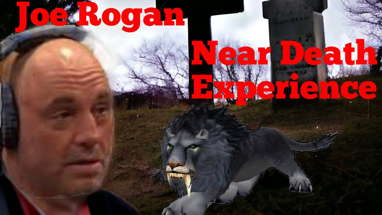Joe Rogan's Near Death Experience YouTube