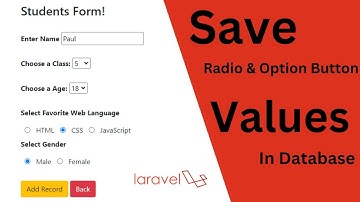 Insert a Radio Button & Option Values Into Database Using Laravel - Laravel Forms