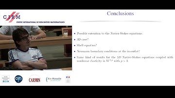 Céline Grandmont: Mathematical and numerical analysis of some fluid structure interaction problems 2